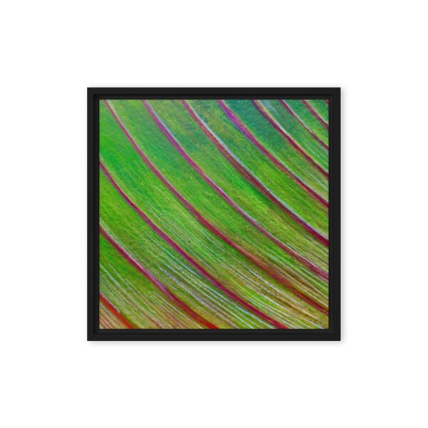 Line In Nature 6 | Framed canvas - Image 6