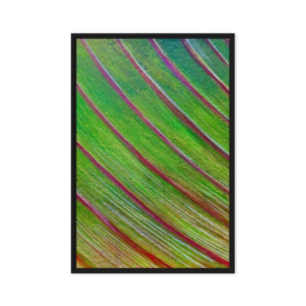 Line In Nature 6 | Framed canvas