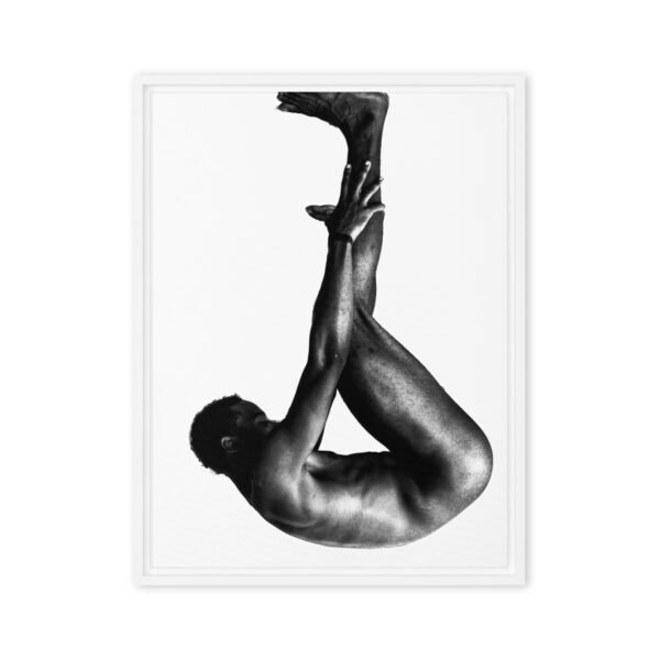 Y-29 | Framed canvas - Image 4
